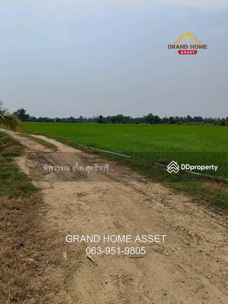 ขาย - ที่ดินเปล่า ใกล้วัดบึงลึ, พิจิตร