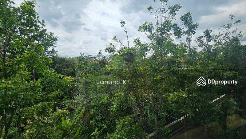 Kawa Haus, Bangkok, 95 Soi Rim Khlong, Phra Kanong Nua, Watthana, Bangkok, 1 Bedroom, 34 sqm, Condo For Rent, by Jarunat K, 11400403 - DDproperty.com