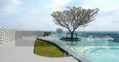 ขาย - The Tree Sukhumvit 71-Ekamai : เดอะทรี สุขุมวิท 71 – เอกมัย, กรุงเทพ