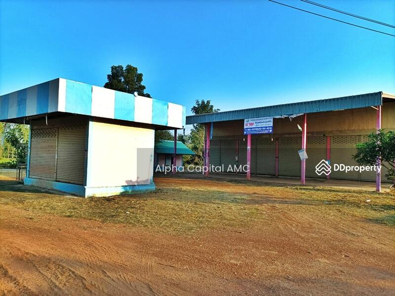 ที่ดินพร้อมสิ่งปลูกสร้าง L4_6_0579_G01, Kamphaeng Phet, Po Thong, Pang Sila Thong, Kamphaeng Phet, 2 Bedrooms, 726 sqm, Single Detached House For Sale, by Alpha Capital AMC, 11403437 - DDproperty.com
