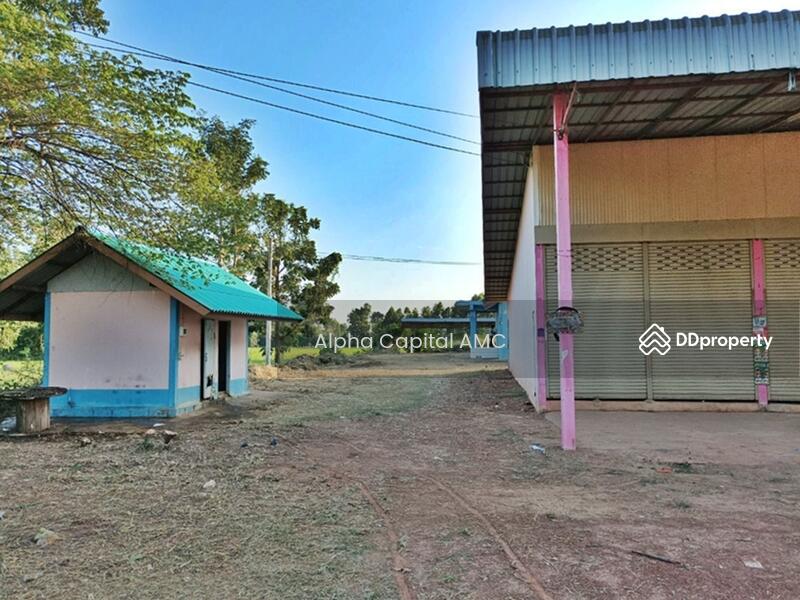 ที่ดินพร้อมสิ่งปลูกสร้าง L4_6_0579_G01, กำแพงเพชร, โพธิ์ทอง, ปางศิลาทอง, กำแพงเพชร, 726 ตร.ม., บ้านเดี่ยว ขาย, โดย Alpha Capital AMC, 11403437 - DDproperty.com