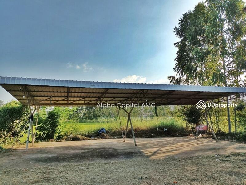 ที่ดินพร้อมสิ่งปลูกสร้าง L4_6_0579_G01, Kamphaeng Phet, Po Thong, Pang Sila Thong, Kamphaeng Phet, 2 Bedrooms, 726 sqm, Single Detached House For Sale, by Alpha Capital AMC, 11403437 - DDproperty.com