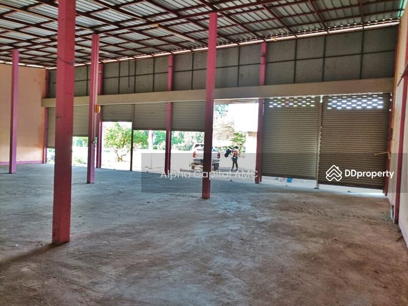ที่ดินพร้อมสิ่งปลูกสร้าง L4_6_0579_G01, Kamphaeng Phet, Po Thong, Pang Sila Thong, Kamphaeng Phet, 2 Bedrooms, 726 sqm, Single Detached House For Sale, by Alpha Capital AMC, 11403437 - DDproperty.com