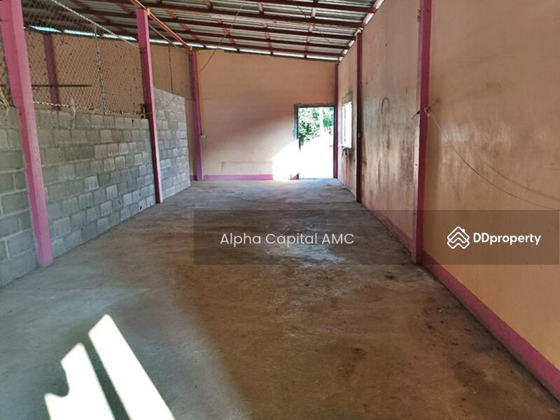 ที่ดินพร้อมสิ่งปลูกสร้าง L4_6_0579_G01, กำแพงเพชร, โพธิ์ทอง, ปางศิลาทอง, กำแพงเพชร, 726 ตร.ม., บ้านเดี่ยว ขาย, โดย Alpha Capital AMC, 11403437 - DDproperty.com