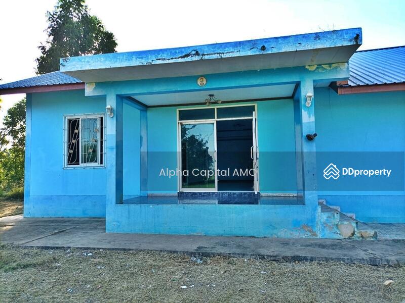ที่ดินพร้อมสิ่งปลูกสร้าง L4_6_0579_G01, Kamphaeng Phet, Po Thong, Pang Sila Thong, Kamphaeng Phet, 2 Bedrooms, 726 sqm, Single Detached House For Sale, by Alpha Capital AMC, 11403437 - DDproperty.com