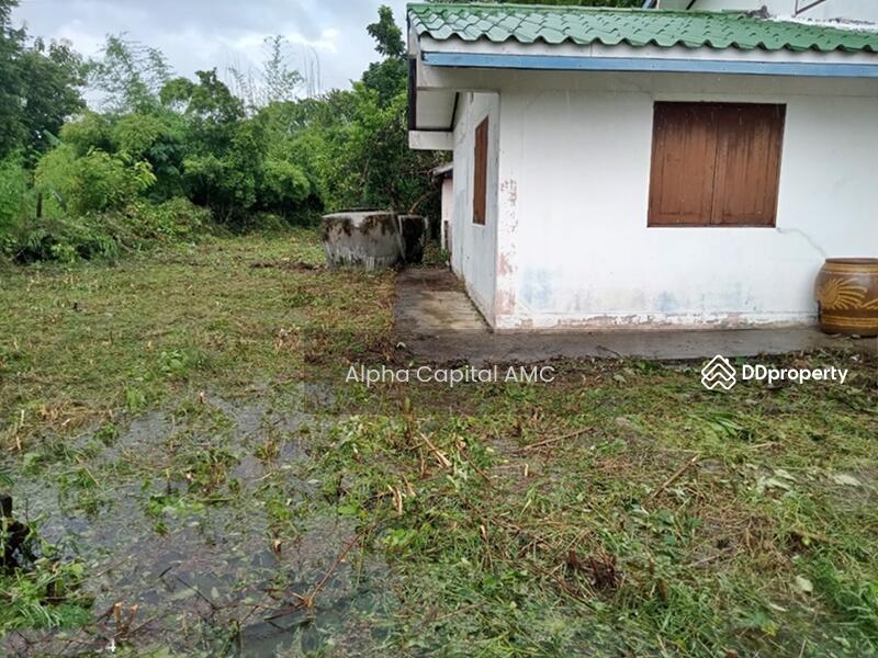 บ้านเดี่ยว 2 ชั้น L4_1_0203_G02, Lop Buri, Makok Wan, Chai Badan, Lop Buri, 2 Bedrooms, 207 sqm, Single Detached House For Sale, by วารุณี จำรูญนุรักษ์, 11403462 - DDproperty.com