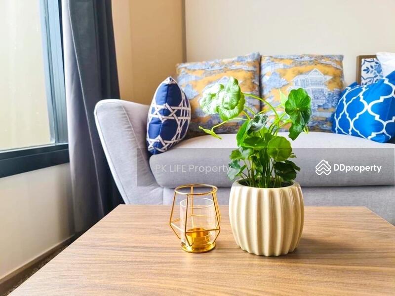 9R0576 Condominium for rent studio room 16,000/month at wichit have fully furnished, ภูเก็ต, วิชิต, เมืองภูเก็ต, ภูเก็ต, 28 ตร.ม., คอนโด ให้เช่า, โดย PK Life Property, 11403577 - DDproperty.com