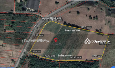 ขาย - ที่ดิน 25-3-36 ไร่ กบินทร์บุรี หลังนิคมสหพัฒน์พอดี, ปราจีนบุรี