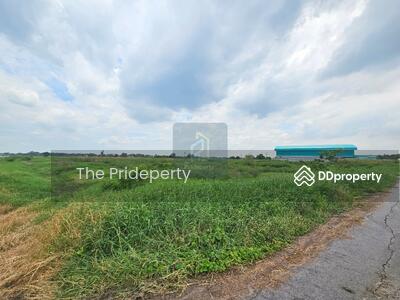 ขาย - ที่ดินเปล่า 20 ไร่ คลองห้า ฝั่งตะวันออก ปทุมธานี, ปทุมธานี