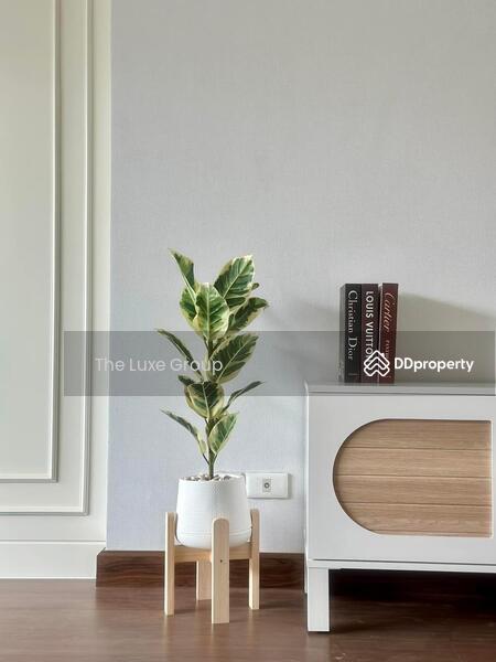 The City Bangna, Samut Prakan, Bang Phli Yai, Bang Kaeo, Bang Plee, Samut Prakan, 4 Bedrooms, 313 sqm, Single Detached House For Rent, by The Luxe Group, 11406972 - DDproperty.com