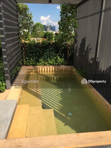 Maestro 39, Bangkok, Sukhumvit Road, Khlong Tan Nua, Watthana, Bangkok, 1 Bedroom, 32 sqm, Condo For Rent, by Agentbkk, 11407424 - DDproperty.com