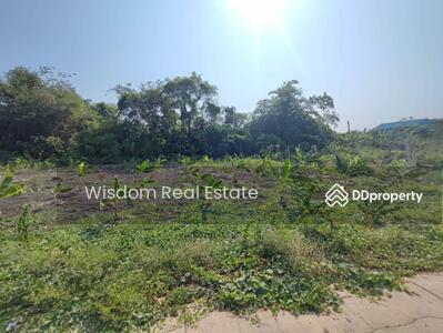 ขาย - ที่ดิน 125 ตรว. ซอยเพชรเกษม 66, กรุงเทพ