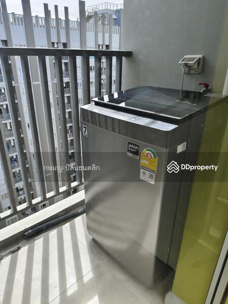 Manor Sanambinnam, Nonthaburi, 557 Nonthaburi Road, Bang Kra So, Muang Nonthaburi, Nonthaburi, 1 Bedroom, 26 sqm, Condo For Rent, by Cat Real Estate (Thailand) Co., Ltd., 11409852 - DDproperty.com