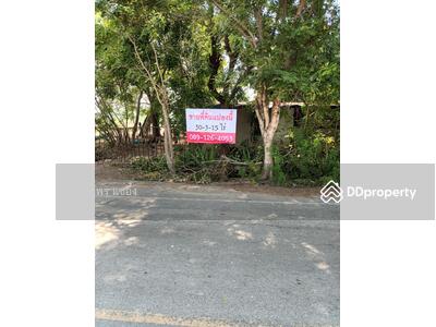 ขาย - ขายที่บ่อก้ง ถนนบางเลน กำแพงแสน นครปฐม, นครปฐม