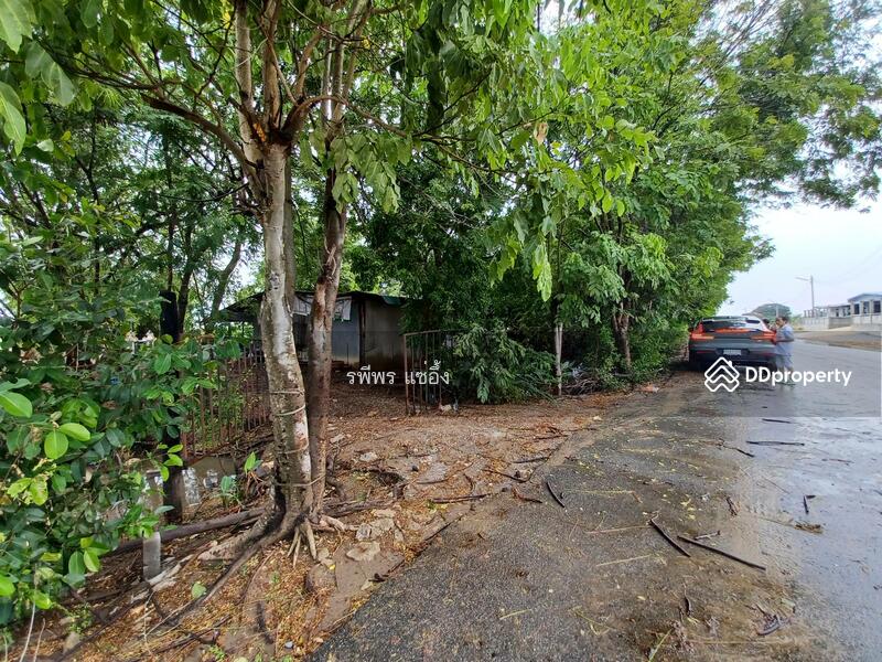 ขาย - ขายที่บ่อก้ง ถนนบางเลน กำแพงแสน นครปฐม, นครปฐม