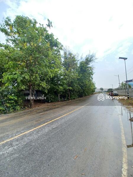 ขาย - ขายที่บ่อก้ง ถนนบางเลน กำแพงแสน นครปฐม, นครปฐม