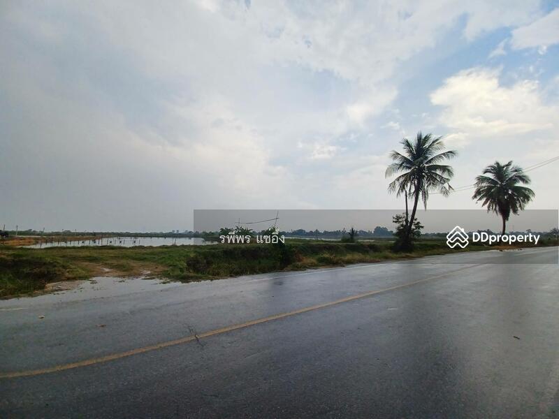 ขายที่บ่อก้ง ถนนบางเลน กำแพงแสน นครปฐม, Nakhon Pathom, Don Khoi, Kamphaeng Saen, Nakhon Pathom, , 49,260 sqm, Land For Sale, by รพีพร แซ่อึ้ง, 11411225 - DDproperty.com