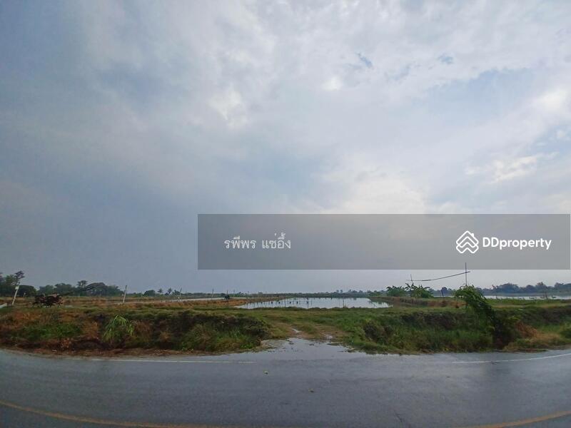 ขายที่บ่อก้ง ถนนบางเลน กำแพงแสน นครปฐม, Nakhon Pathom, Don Khoi, Kamphaeng Saen, Nakhon Pathom, , 49,260 sqm, Land For Sale, by รพีพร แซ่อึ้ง, 11411225 - DDproperty.com