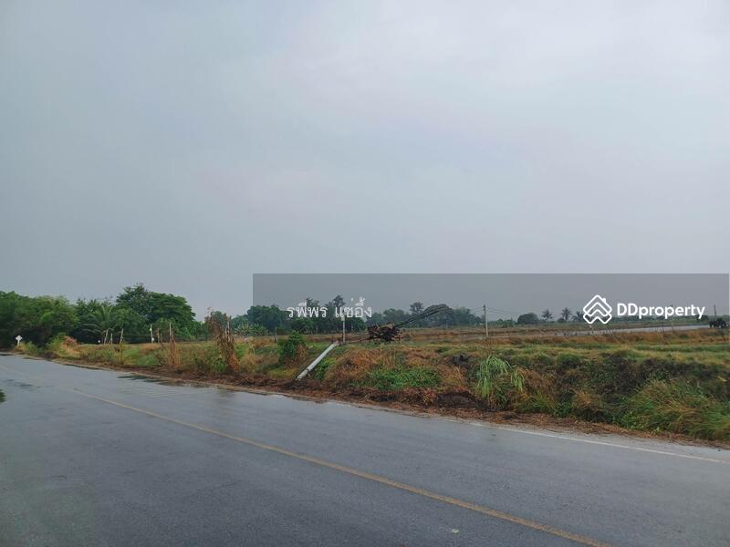 ขายที่บ่อก้ง ถนนบางเลน กำแพงแสน นครปฐม, Nakhon Pathom, Don Khoi, Kamphaeng Saen, Nakhon Pathom, , 49,260 sqm, Land For Sale, by รพีพร แซ่อึ้ง, 11411225 - DDproperty.com