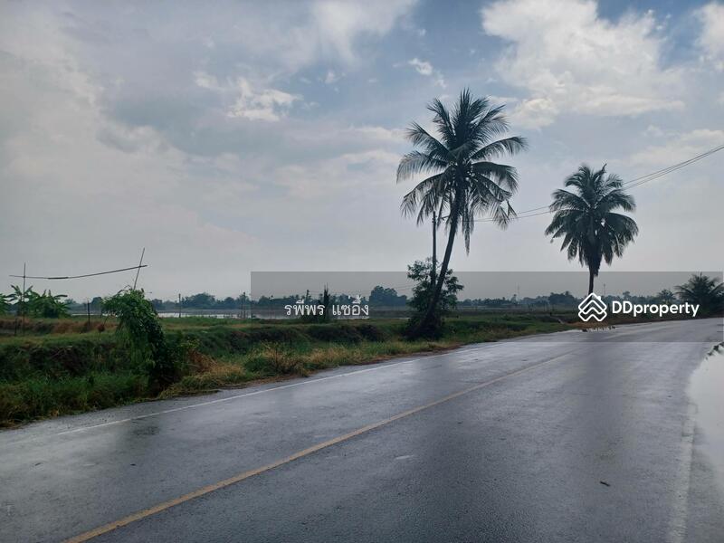 ขาย - ขายที่บ่อก้ง ถนนบางเลน กำแพงแสน นครปฐม, นครปฐม