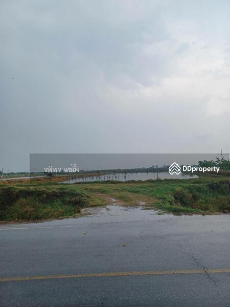 ขาย - ขายที่บ่อก้ง ถนนบางเลน กำแพงแสน นครปฐม, นครปฐม