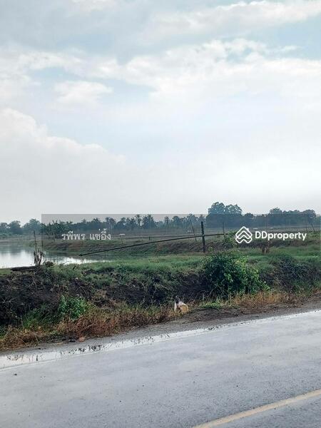 ขายที่บ่อก้ง ถนนบางเลน กำแพงแสน นครปฐม, Nakhon Pathom, Don Khoi, Kamphaeng Saen, Nakhon Pathom, , 49,260 sqm, Land For Sale, by รพีพร แซ่อึ้ง, 11411225 - DDproperty.com
