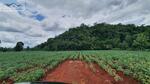 ที่ดินริมเขา โฉนด ปากช่อง, นครราชสีมา
