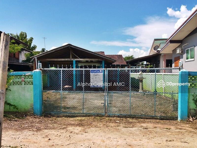 ขาย - ขายที่ดินพร้อมสิ่งปลูกสร้าง L4_5_0536_G01, พะเยา