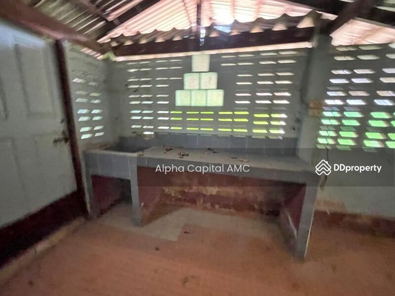 ขาย - ขายที่ดินพร้อมสิ่งปลูกสร้าง L4_5_0536_G01, พะเยา