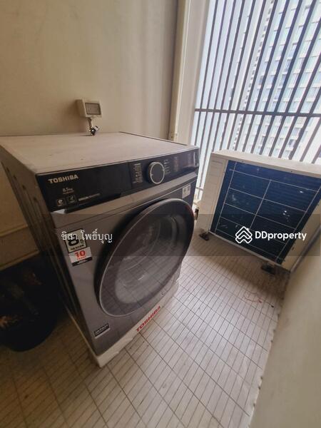 The Room Sukhumvit 21, Bangkok, Asok Montri Rd, Khlongtoei Nua, Watthana, Bangkok, 1 Bedroom, 52 sqm, Condo For Rent, by ชิสา โพธิ์บุญ, 11414145 - DDproperty.com