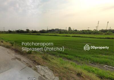 ขาย - ที่ดินเปล่า ลาดหลุมแก้ว, ปทุมธานี