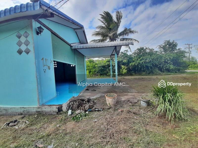 ขายบ้านพักอาศัย 2 ชั้น L4_4_0432_G01, ลพบุรี, 146, 146/1, 146/3 บ้านวังเพลิง-บ้านสะแกราบ, สะแกราบ, โคกสำโรง, ลพบุรี, 389 ตร.ม., บ้านเดี่ยว ขาย, โดย วารุณี จำรูญนุรักษ์, 11416158 - DDproperty.com