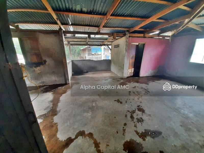 ขายบ้านพักอาศัย 2 ชั้น L4_4_0432_G01, ลพบุรี, 146, 146/1, 146/3 บ้านวังเพลิง-บ้านสะแกราบ, สะแกราบ, โคกสำโรง, ลพบุรี, 389 ตร.ม., บ้านเดี่ยว ขาย, โดย วารุณี จำรูญนุรักษ์, 11416158 - DDproperty.com