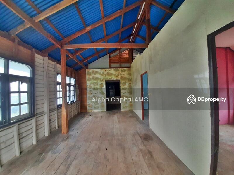 ขายบ้านพักอาศัย 2 ชั้น L4_4_0432_G01, ลพบุรี, 146, 146/1, 146/3 บ้านวังเพลิง-บ้านสะแกราบ, สะแกราบ, โคกสำโรง, ลพบุรี, 389 ตร.ม., บ้านเดี่ยว ขาย, โดย วารุณี จำรูญนุรักษ์, 11416158 - DDproperty.com