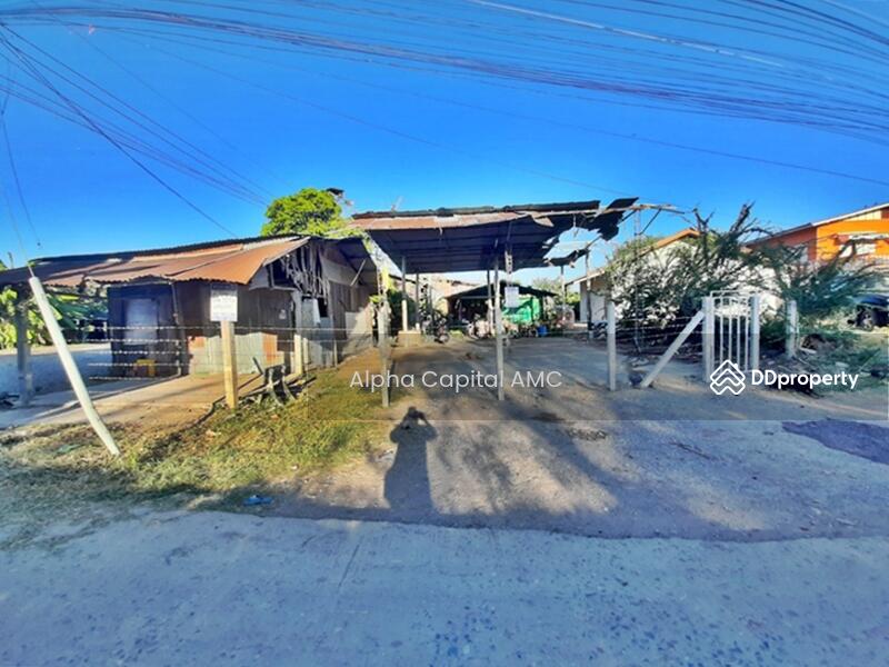 ขายที่ดินพร้อมสิ่งปลูกสร้าง L4_5_0494_G01, ลพบุรี, 43/1 ถนนบ้านยงสวัสดิ์-คลองเกตุ-คลองมะนาว, คลองเกตุ, โคกสำโรง, ลพบุรี, 157 ตร.ม., บ้านเดี่ยว ขาย, โดย วารุณี จำรูญนุรักษ์, 11416520 - DDproperty.com