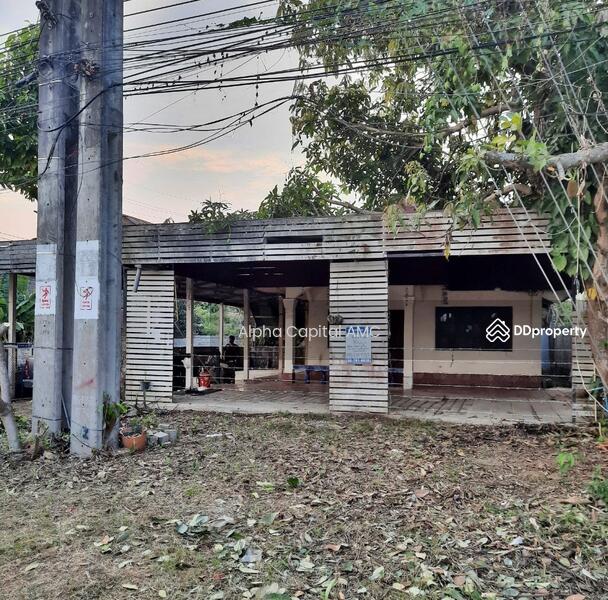 ขาย - ที่ดินพร้อมสิ่งปลูกสร้าง L4_5_0406_G01, เชียงราย