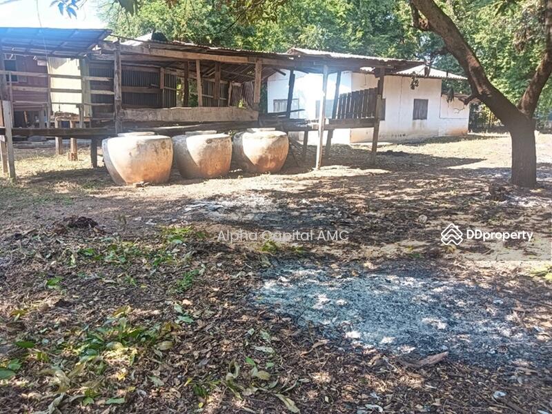 Sale Land with Building L4_4_0343_G01, Chai Nat, 136 ถนนบ้านท่า บ้านหลวง-บ้านพราน (ชน.3133), Wang Kai Thuan, Han Kha, Chai Nat, 1 Bedroom, 161 sqm, Single Detached House For Sale, by Alpha Capital AMC, 11416767 - DDproperty.com