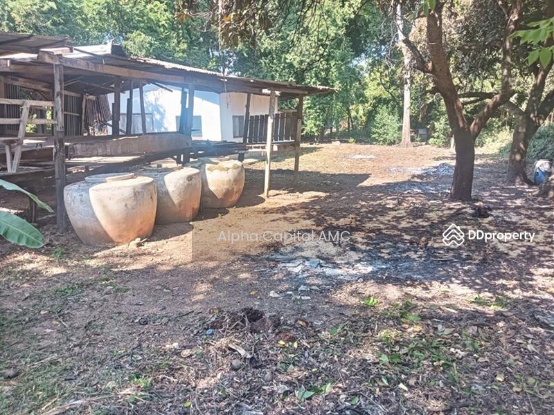 Sale Land with Building L4_4_0343_G01, Chai Nat, 136 ถนนบ้านท่า บ้านหลวง-บ้านพราน (ชน.3133), Wang Kai Thuan, Han Kha, Chai Nat, 1 Bedroom, 161 sqm, Single Detached House For Sale, by Alpha Capital AMC, 11416767 - DDproperty.com