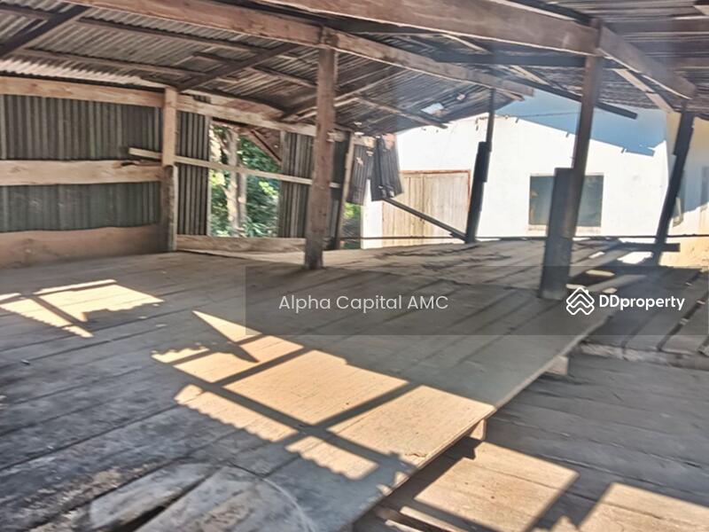 ขายที่ดิน พร้อมสิ่งปลูกสร้าง L4_4_0343_G01, ชัยนาท, 136 ถนนบ้านท่า บ้านหลวง-บ้านพราน (ชน.3133), วังไก่เถื่อน, หันคา, ชัยนาท, 161 ตร.ม., บ้านเดี่ยว ขาย, โดย Alpha Capital AMC, 11416767 - DDproperty.com