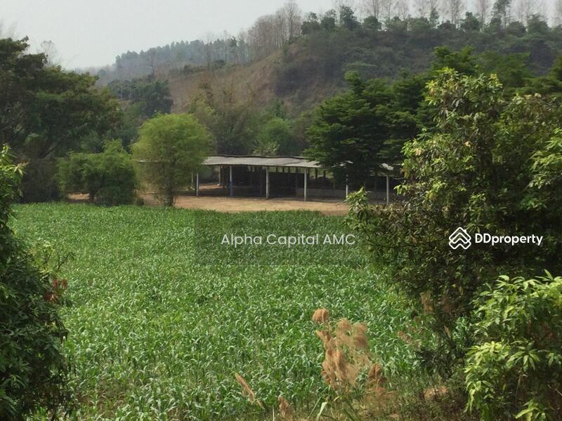 ขายที่ดิน พร้อมสิ่งปลูกสร้าง บ้านพักอาศัยปูน 2 ชั้น L4_2_0374_G01, ลำปาง, หมู่ที่ 5 ถนนบ้านฮ่างวังแก้ว-น้ำตกวังแก้ว (สบ.4015), วังแก้ว, วังเหนือ, ลำปาง, 1,330 ตร.ม., บ้านเดี่ยว ขาย, โดย วารุณี จำรูญนุรักษ์, 11416842 - DDproperty.com
