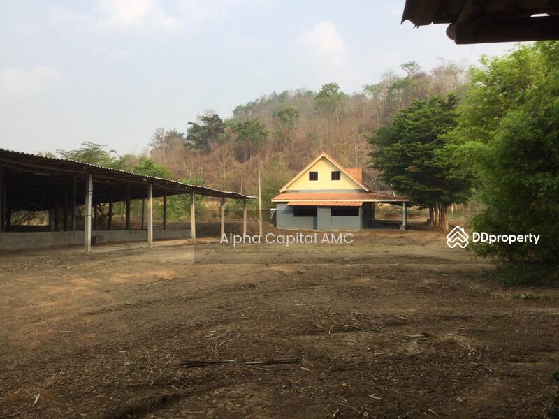 Sale Land with Building 2-ST residential building L4_2_0374_G01, Lampang, หมู่ที่ 5 ถนนบ้านฮ่างวังแก้ว-น้ำตกวังแก้ว (สบ.4015), Wang Kaeo, Wang Nua, Lampang, 1 Bedroom, 1,330 sqm, Single Detached House For Sale, by วารุณี จำรูญนุรักษ์, 11416842 - DDproperty.com