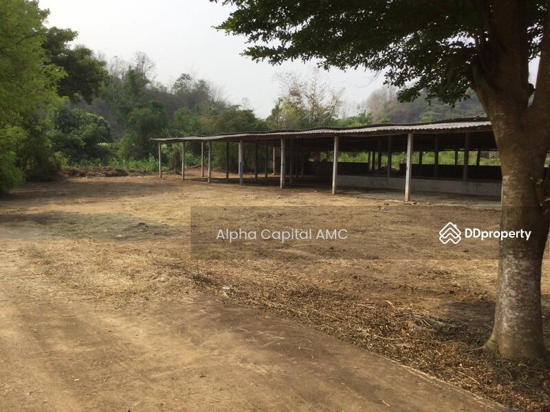 Sale Land with Building 2-ST residential building L4_2_0374_G01, Lampang, หมู่ที่ 5 ถนนบ้านฮ่างวังแก้ว-น้ำตกวังแก้ว (สบ.4015), Wang Kaeo, Wang Nua, Lampang, 1 Bedroom, 1,330 sqm, Single Detached House For Sale, by วารุณี จำรูญนุรักษ์, 11416842 - DDproperty.com