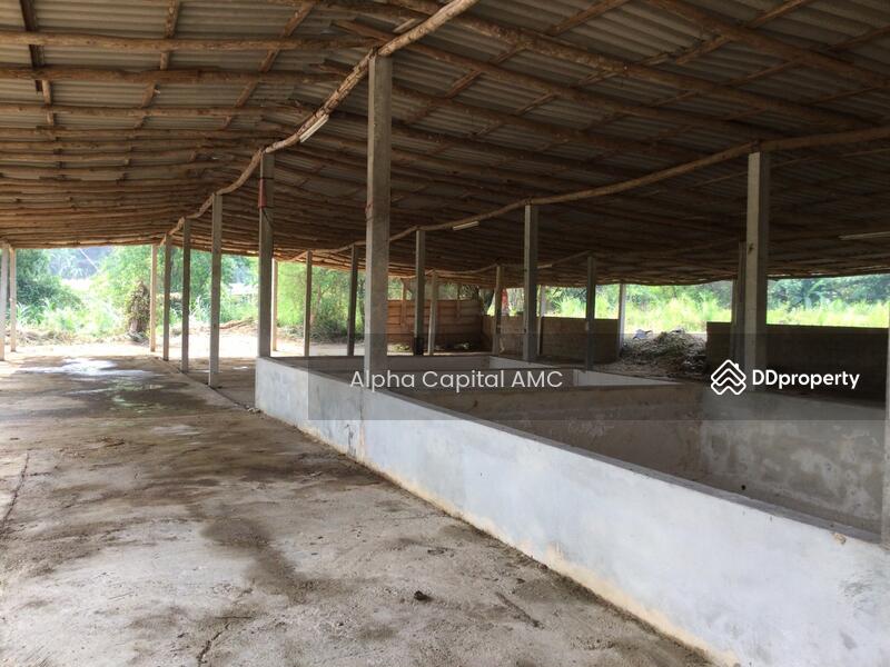 Sale Land with Building 2-ST residential building L4_2_0374_G01, Lampang, หมู่ที่ 5 ถนนบ้านฮ่างวังแก้ว-น้ำตกวังแก้ว (สบ.4015), Wang Kaeo, Wang Nua, Lampang, 1 Bedroom, 1,330 sqm, Single Detached House For Sale, by วารุณี จำรูญนุรักษ์, 11416842 - DDproperty.com