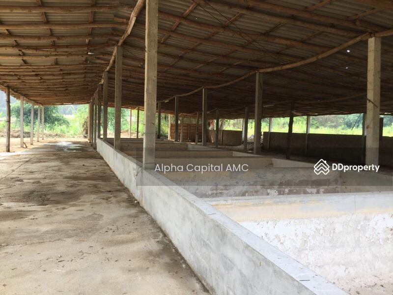 ขายที่ดิน พร้อมสิ่งปลูกสร้าง บ้านพักอาศัยปูน 2 ชั้น L4_2_0374_G01, ลำปาง, หมู่ที่ 5 ถนนบ้านฮ่างวังแก้ว-น้ำตกวังแก้ว (สบ.4015), วังแก้ว, วังเหนือ, ลำปาง, 1,330 ตร.ม., บ้านเดี่ยว ขาย, โดย วารุณี จำรูญนุรักษ์, 11416842 - DDproperty.com