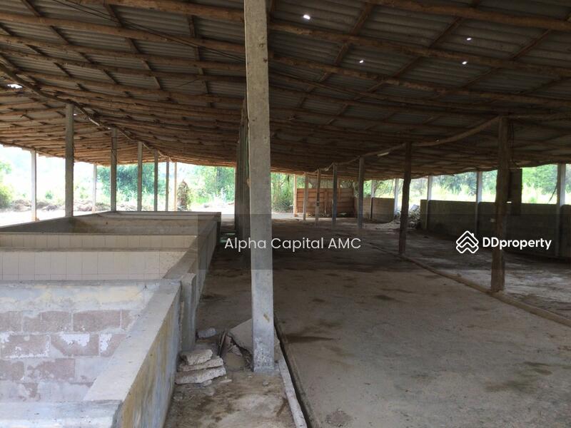ขายที่ดิน พร้อมสิ่งปลูกสร้าง บ้านพักอาศัยปูน 2 ชั้น L4_2_0374_G01, ลำปาง, หมู่ที่ 5 ถนนบ้านฮ่างวังแก้ว-น้ำตกวังแก้ว (สบ.4015), วังแก้ว, วังเหนือ, ลำปาง, 1,330 ตร.ม., บ้านเดี่ยว ขาย, โดย วารุณี จำรูญนุรักษ์, 11416842 - DDproperty.com