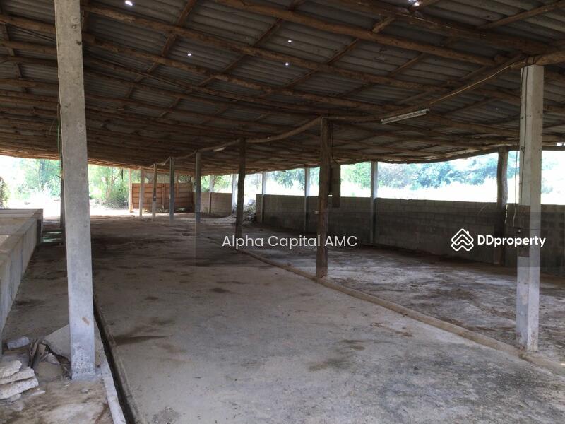 Sale Land with Building 2-ST residential building L4_2_0374_G01, Lampang, หมู่ที่ 5 ถนนบ้านฮ่างวังแก้ว-น้ำตกวังแก้ว (สบ.4015), Wang Kaeo, Wang Nua, Lampang, 1 Bedroom, 1,330 sqm, Single Detached House For Sale, by วารุณี จำรูญนุรักษ์, 11416842 - DDproperty.com