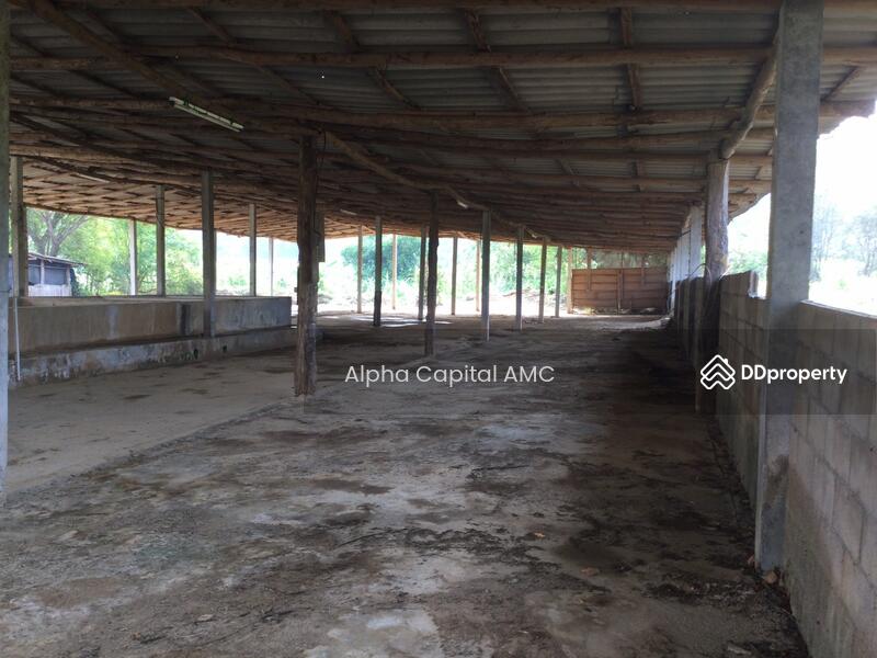 ขายที่ดิน พร้อมสิ่งปลูกสร้าง บ้านพักอาศัยปูน 2 ชั้น L4_2_0374_G01, ลำปาง, หมู่ที่ 5 ถนนบ้านฮ่างวังแก้ว-น้ำตกวังแก้ว (สบ.4015), วังแก้ว, วังเหนือ, ลำปาง, 1,330 ตร.ม., บ้านเดี่ยว ขาย, โดย วารุณี จำรูญนุรักษ์, 11416842 - DDproperty.com