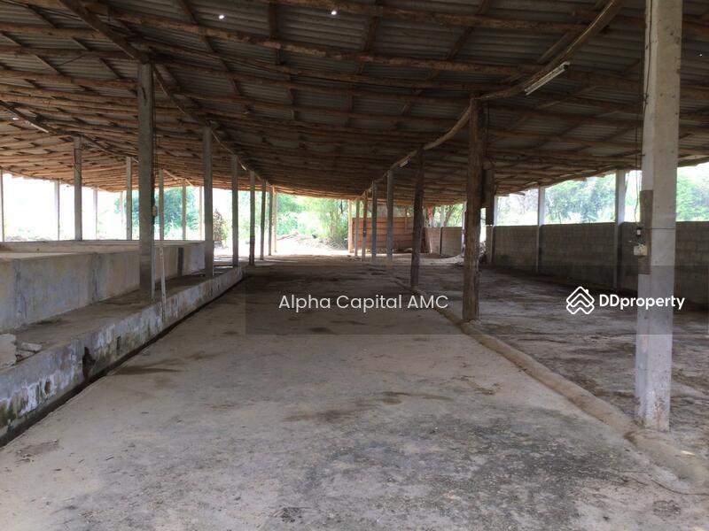 ขายที่ดิน พร้อมสิ่งปลูกสร้าง บ้านพักอาศัยปูน 2 ชั้น L4_2_0374_G01, ลำปาง, หมู่ที่ 5 ถนนบ้านฮ่างวังแก้ว-น้ำตกวังแก้ว (สบ.4015), วังแก้ว, วังเหนือ, ลำปาง, 1,330 ตร.ม., บ้านเดี่ยว ขาย, โดย วารุณี จำรูญนุรักษ์, 11416842 - DDproperty.com
