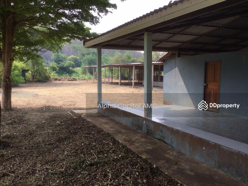ขายที่ดิน พร้อมสิ่งปลูกสร้าง บ้านพักอาศัยปูน 2 ชั้น L4_2_0374_G01, ลำปาง, หมู่ที่ 5 ถนนบ้านฮ่างวังแก้ว-น้ำตกวังแก้ว (สบ.4015), วังแก้ว, วังเหนือ, ลำปาง, 1,330 ตร.ม., บ้านเดี่ยว ขาย, โดย วารุณี จำรูญนุรักษ์, 11416842 - DDproperty.com