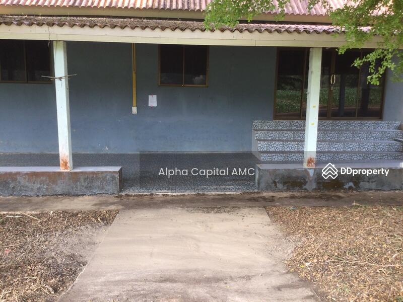 ขายที่ดิน พร้อมสิ่งปลูกสร้าง บ้านพักอาศัยปูน 2 ชั้น L4_2_0374_G01, ลำปาง, หมู่ที่ 5 ถนนบ้านฮ่างวังแก้ว-น้ำตกวังแก้ว (สบ.4015), วังแก้ว, วังเหนือ, ลำปาง, 1,330 ตร.ม., บ้านเดี่ยว ขาย, โดย วารุณี จำรูญนุรักษ์, 11416842 - DDproperty.com